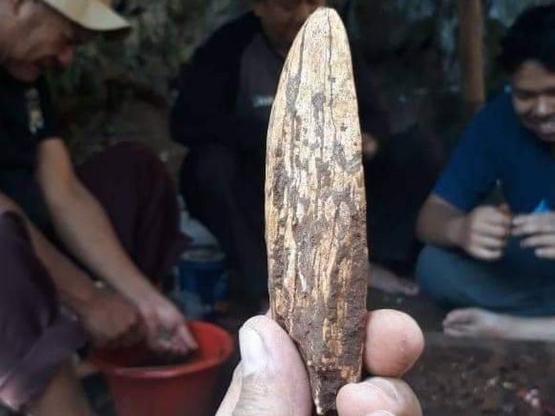 Mata Tombak Manusia Purba Ditemukan Tim Arkeolog di Gua Pawon Mata Tombak Manusia Purba Ditemukan Tim Arkeolog di Gua Pawon
