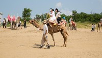 Gurun Pasir Tottori merupakan salah satu bentang alam yang menakjubkan di Jepang. Dapat ditempuh sekitar 1 jam naik pesawat dari Jepang (iStock)