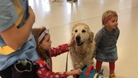 Beginilah aksi anjing-anjing di Bandara Aberdeen, Skotlandia. Mereka bertugas sebagai pereda strees untuk penumpang yang takut naik pesawat. (Aberdeen Airport/Twitter)