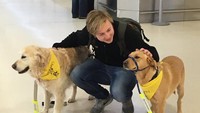Anjing-anjing yang menjadi therapet adalah anjing pilihan yang telah dilatih dan mampu beradaptasi dengan belaian manusia. (Aberdeen Airport/Twitter)
