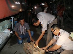 Cegah Penyelundupan Daging Celeng, Kementan Gelar Patroli di Merak