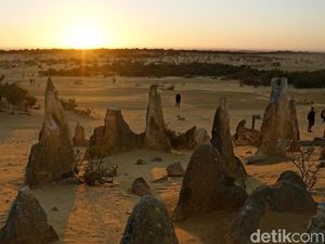 Tempat Wisata di Australia Barat yang Ajaib: The Pinnacles