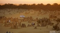 Momen inilah yang palaing dicari untuk pengambilan foto di The Pinnacles (Masaul/detikcom)
