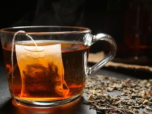 Minum Teh Sebelum Tidur, Bisa Bantu Turunkan Berat Badan?