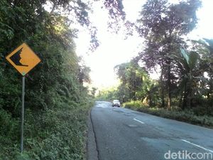 Untuk yang Mudik ke Wonogiri, Waspadai Titik Rawan Bencana Berikut Ini
