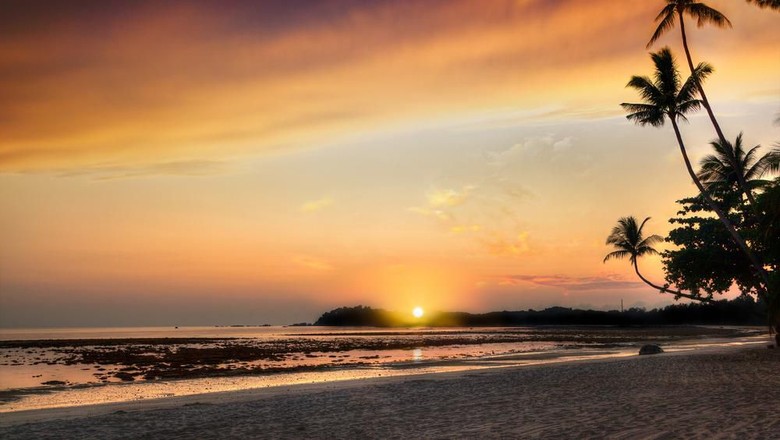 Foto: shutterstock Foto: shutterstock