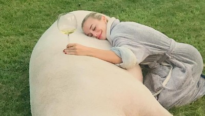 Foto: Selebgram Seksi yang Jadi Atensi karena Pelihara Babi Berukuran Jumbo