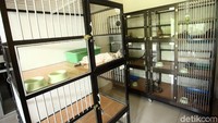 Fasilitas kandang kucing di tempat penitipan hewan peliharaan itu juga memadai.