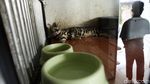Jelang Lebaran, Hotel Kucing Ramai Dibooking