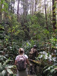 Tim SAR menembus hutan yang lebat untuk menemukan Amanda