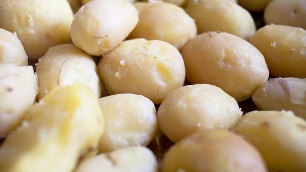 Resep Kroket Kentang Isi Keju yang Gurih Mulur Untuk Buka Puasa