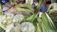 Ketupat merupakan salah satu makanan yang wajib ada saat lebaran. Tak heran, banyak orang mulai mencari kulit ketupat untuk membuat hidangan makanan di Hari Raya Idul Fitri.