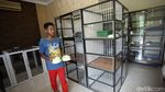 Jelang Lebaran, Hotel Kucing Ramai Dibooking