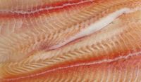 Setelah 'Daging,' Kini Peneliti Bikin 'Ikan' Imitasi Tanpa Duri