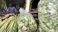 Meningkatnya minat kulit ketupat membuat banyak pedagang mulai memasarkan kulit ketupat jelang lebaran. Salah satunya seperti pedagang di Pasar Palmerah ini.