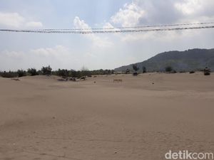Hore! Salat Id di Gumuk Pasir Parangtritis Boleh Digelar Lagi
