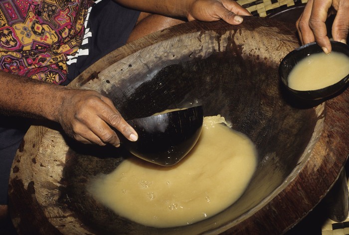 Traditional Kava the national drink of Fiji. Kava is a mildly narcotic drink made from mixing the powdered root of the pepper plant with water and results in a numb feeling and a sense of relaxation