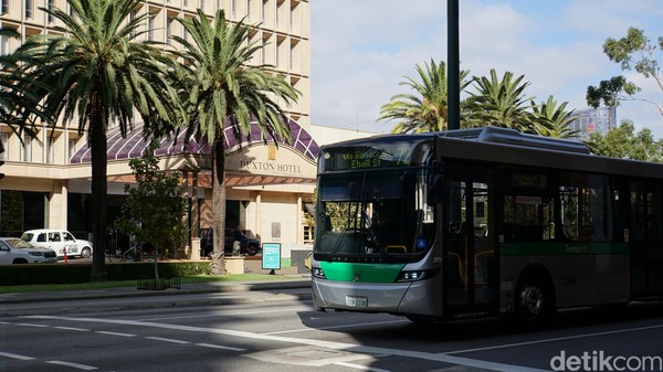 Transperth menyediakan bus gratis untuk warga dan wisatawan di pusat kota. Inilah bus Perth Central Area Transit (CAT) (Ahmad Masaul Khoiri/detikcom)
