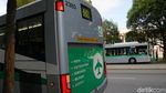 Jakarta Perlu Belajar dari Perth Soal Transportasi Massal