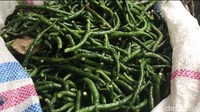 Letak kelezatan Itiak Lado Mudo bukan hanya pada itiknya saja, melainkan juga pada racikan cabe hijau atau lado mudo-nya. Tak kurang dari 20 kilogram cabe hijau dibuat setiap harinya/ di tempat itu. Foto: Jeka Kampai/detikfood