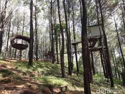 Puncak Becici: Daya Tarik, Jam Buka, Alamat, dan Harga Tiket Masuk 2024