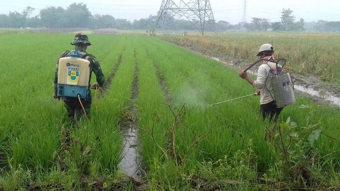 Foto: Dok Kementan Foto: Dok Kementan