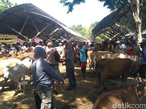 Situbondo Bentuk Tim Antisipasi Antraks Jelang Lebaran