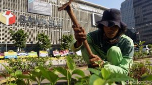 Aksi Petugas Hijaukan Bawaslu Pasca Aksi 22 Mei