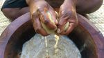Foto: Tradisi Minuman Berbahaya Ala Fiji