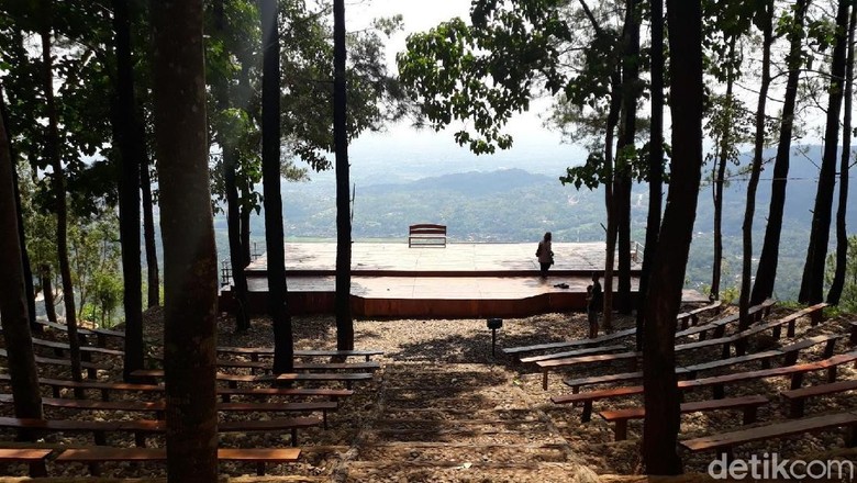 Foto: Pradito Rida Pertana/detikcom Foto: Pradito Rida Pertana/detikcom