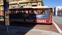 Di Fremantle ada tramnya selain bus CAT. Kamu bisa menaikinya jika memiliki waktu yang luang (Ahmad Masaul Khoiri/detikcom)