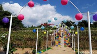 Sejak dibuka untuk umum, taman bunga ini sudah langsung dikunjungi warga. Di hari biasa, pengunjung mencapai ratusan orang dan akan berlipat di akhir pekan (Ragil Ajiyanto/detikcom)