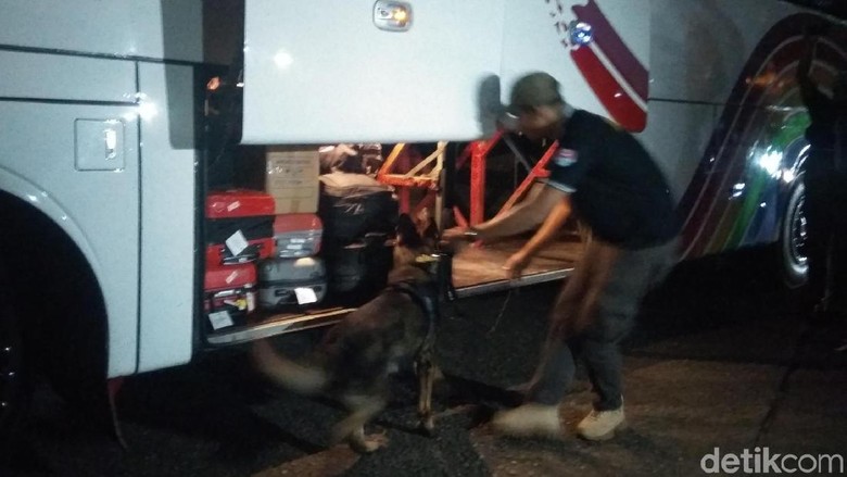 BNN Aceh Terjunkan Anjing Pelacak Periksa Barang Bawaan Penumpang Bus BNN Aceh Terjunkan Anjing Pelacak Periksa Barang Bawaan Penumpang Bus