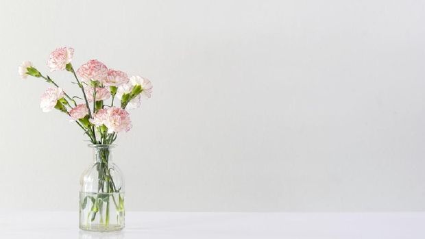 pink and white carnation flowers in glass vase on white table in white room with copy space.