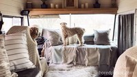 Warna putih, abu-abu, dan krem nampak semakin cantik saat dipadukan dengan unsur kayu yang menghiasi bagian dalam bus ini. Selain dibuat nyaman, bus ini juga didesain agar tampak instagramable. Istimewa/Dok. Boredpanda.