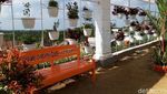 Foto: Taman Instagramable di Boyolali