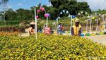Foto: Taman Instagramable di Boyolali