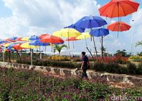 Mudik Ke Boyolali Coba Main Ke Taman Cantik Ini