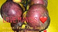 Masih berada di Lampung, Frederika juga membeli buah manggis. Dari unggahannya ini, bisa dipastikan kalau manggis salah satu buah yang tak pernah gagal puaskan seleranya. Foto: Instagram frederikacull