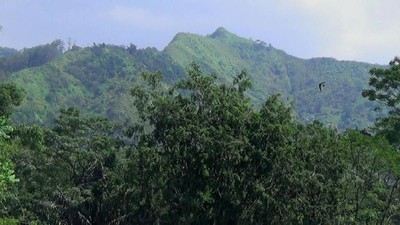 Foto: Jalur Alternatif Pemalang yang Asyik