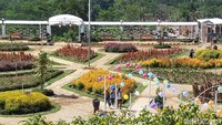 Sitinggil Garden. Itulah nama obyek wisata yang berlokasi di Desa Kembangkuning, Kecamatan Cepogo, Kabupaten Boyolali ini (Ragil Ajiyanto/detikcom)  