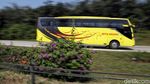 Pemudik Mulai Jejaki Ruas Tol Cipali