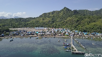 Nama Pulau Rinca di NTT dikenal sebagai satu destinasi untuk melihat komodo di habitat aslinya. Di satu sisi, Pulau Rinca juga masuk Kawasan Strategis Pariwisata Nasional atau KSPN oleh Presiden Jokowi. Muhammad Zaky Fauzi Azhar/detikcom  