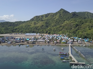 Tak Ada Pilihan Murah Melihat Komodo