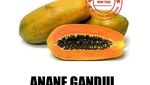 Kocak! Ini Istilah Makanan dalam Bahasa Tegal Ngapak