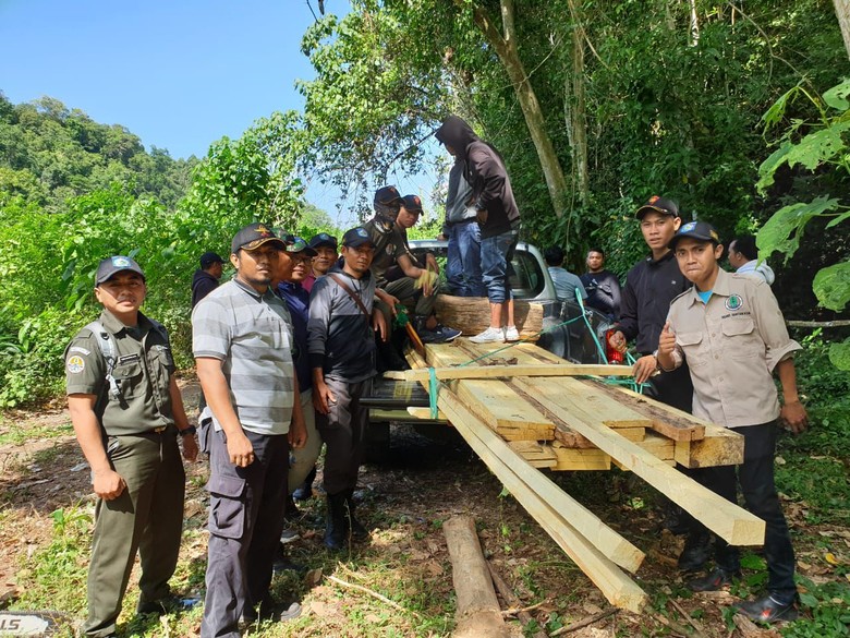 Polisi Tangkap 3 Orang Pelaku Pembalakan Liar di Sumbawa Barat Polisi Tangkap 3 Orang Pelaku Pembalakan Liar di Sumbawa Barat
