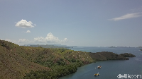 Pulau Rinca dapat dicapai dengan perahu kecil dari Labuhan Bajo selama dua jam. Luas pulau ini adalah 198 kilometer persegi (Muhammad Zaky Fauzi Azhar/detikcom)  