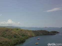 Pro Kontra Jurassic Park Komodo, Perlu Duduk Bersama