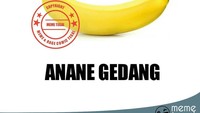 Termasuk buah pisang yang di Tegal disebutnya gedang. Unik ya! Foto: Istimewa