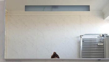 Yang ini katanya, sih, toilet di Belanda yang penduduknya disebut-sebut paling tinggi di dunia. (Foto: Boredpanda.com)